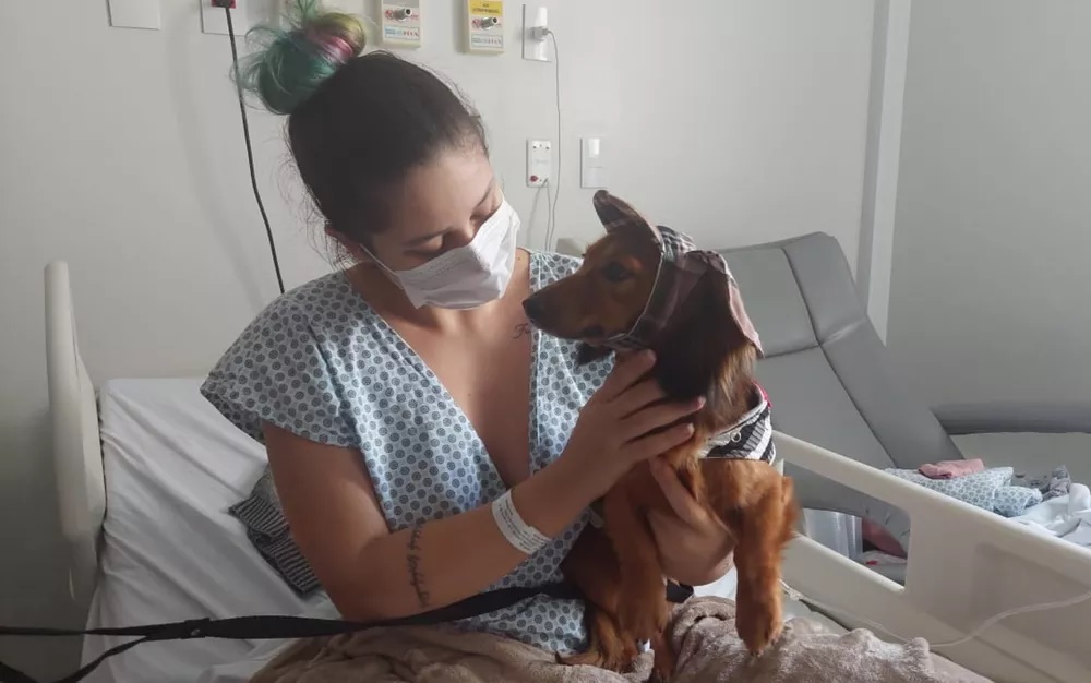 Cães visitam hospital fantasiados e promovem momentos de alegria para pacientes