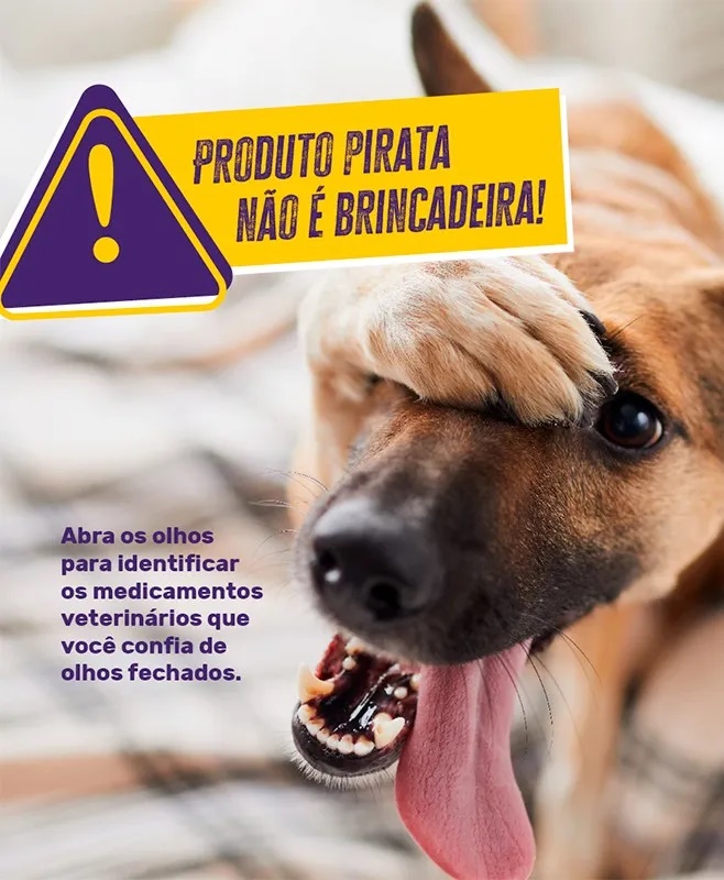 Sidan alerta sobre produtos veterinários falsos que colocam em risco a saúde dos animais