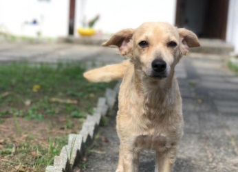 Nikita