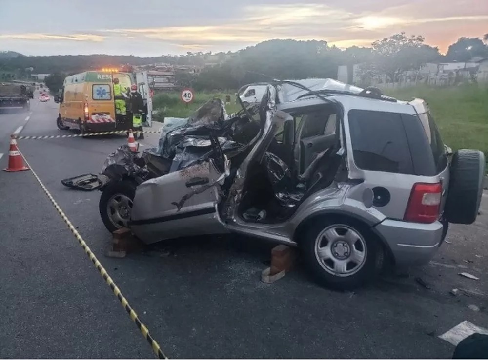 Crianças reencontram cachorrinho após acidente que vitimou toda família