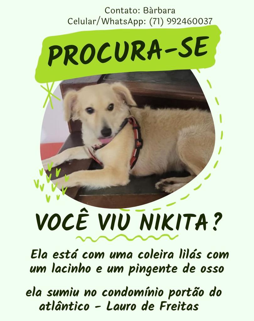 NIkita