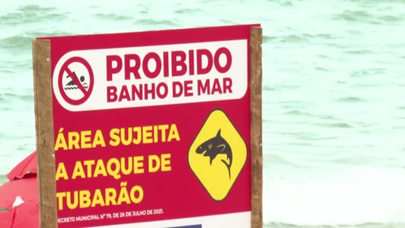 Recentemente, três ataques foram registrados em uma praia do estado de Pernambuco. Foto: Reprodução/TV Globo