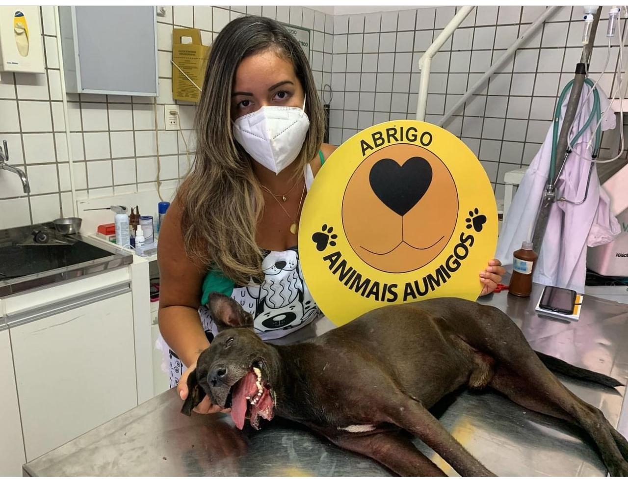 Simplesmente mulher: Conheça baiana que resgata pets desde os 16 anos e atua em ONG mais engajada de Salvador