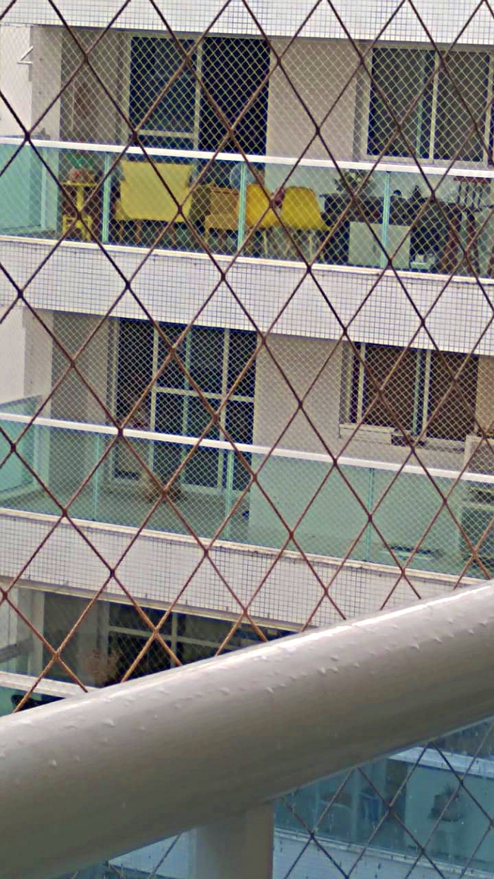 Moradores denunciam suposto caso de maus-tratos a cão no Alphaville I: "Estamos desesperados"