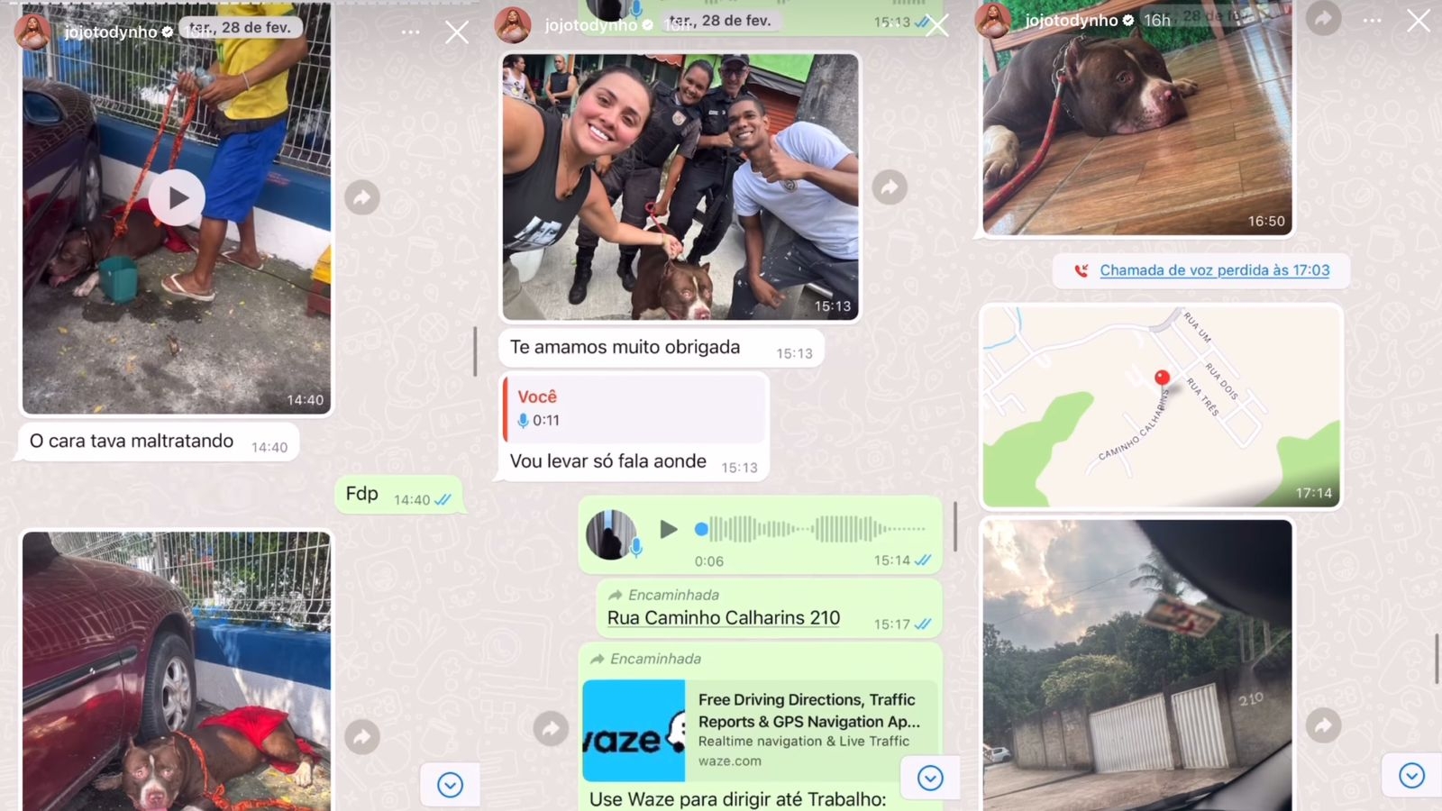 Jojo Todynho resgata cachorro e se revolta com possível tutor de animal: "Rala! É meu!"