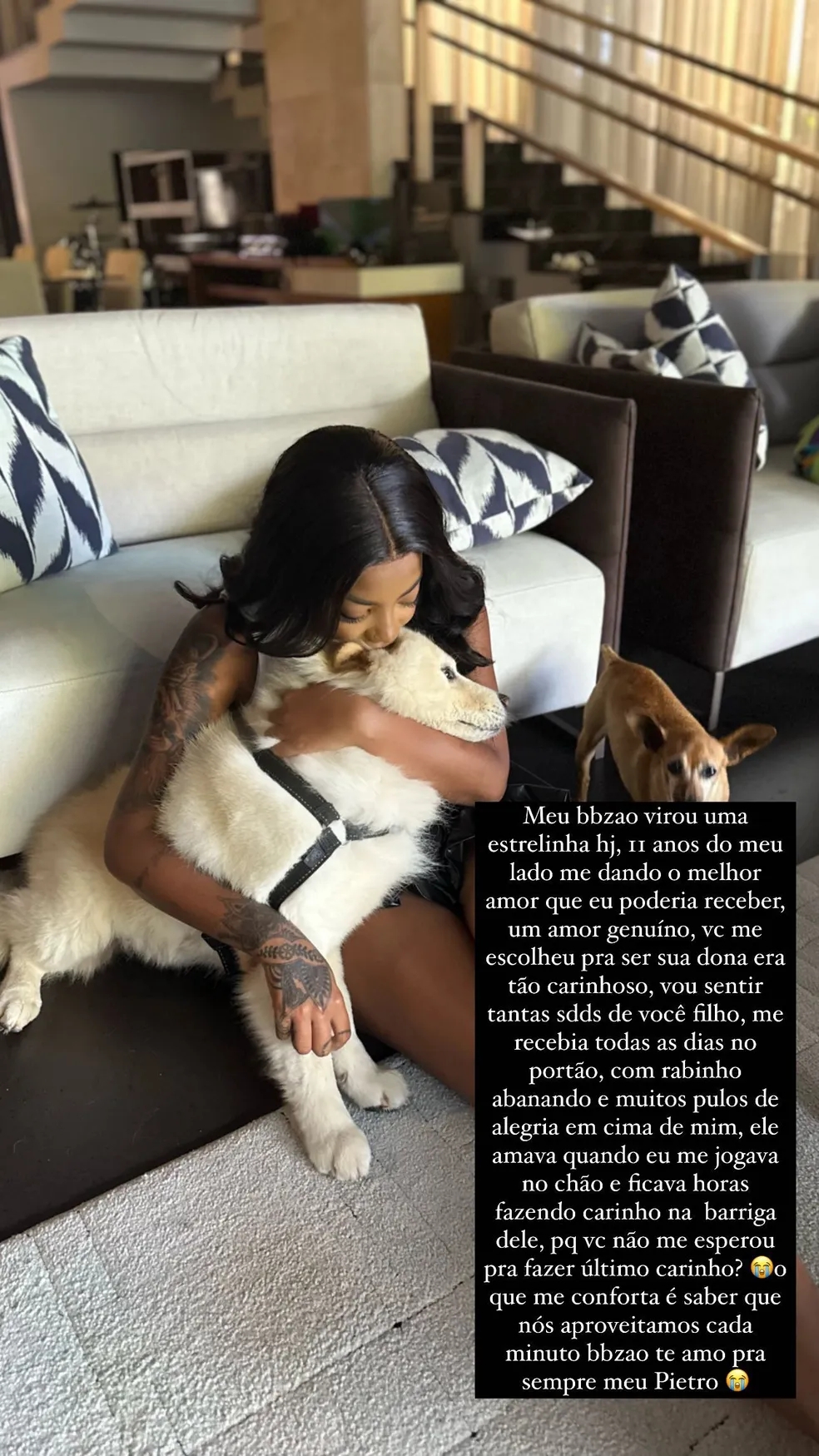Ludmilla faz texto emocionante para se despedir de cachorro