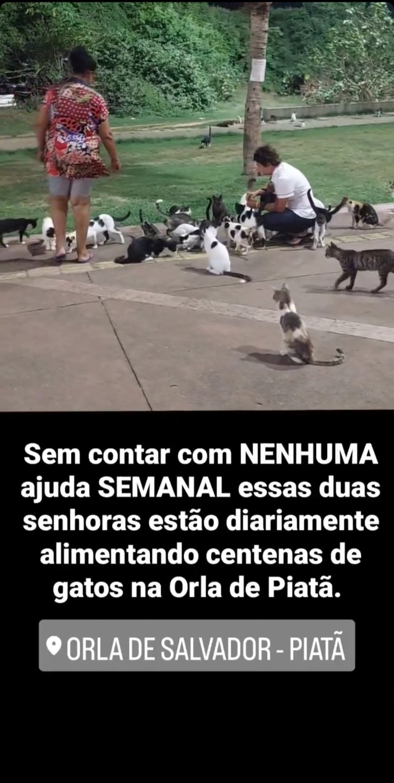 Lenda? Ajuda semanal de Marcelle Moares é questionada e secretária rebate acusações