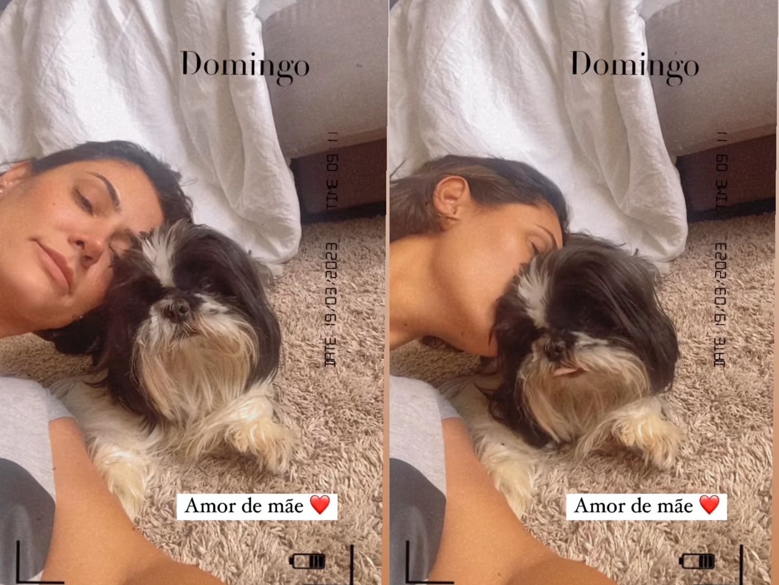 Após polêmica, Michelle Bolsonaro se declara para shih-tzu e entrega cão salsicha à nova família