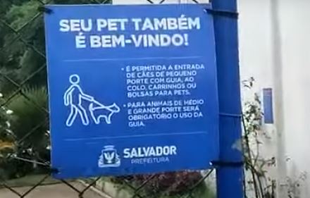 Reprodução// Youtube @MuitaInformacao