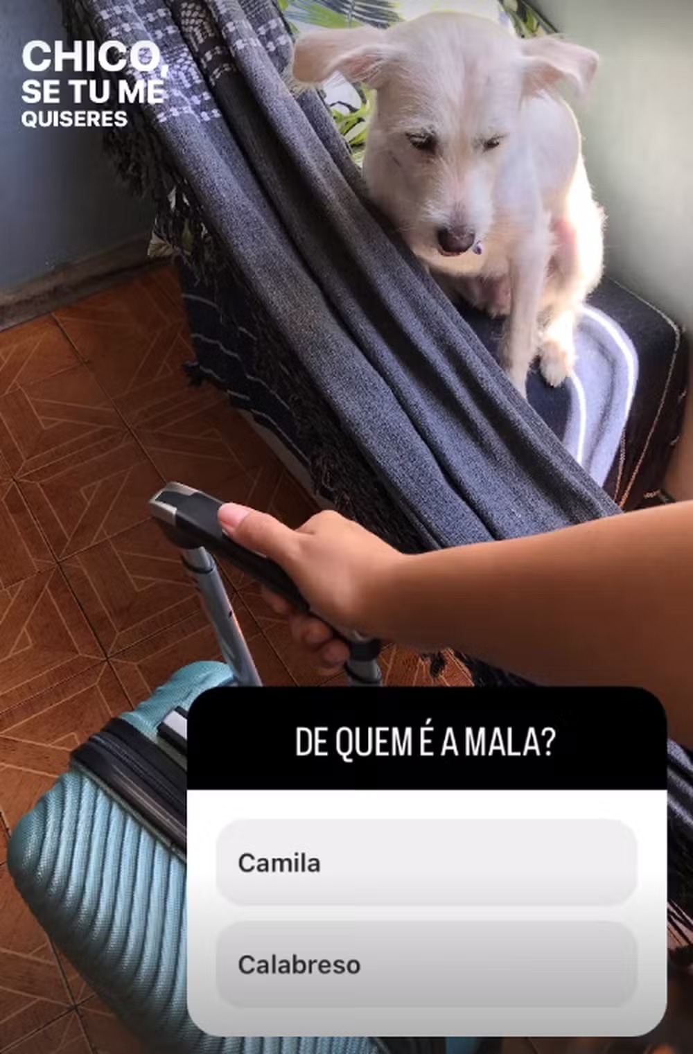 stories