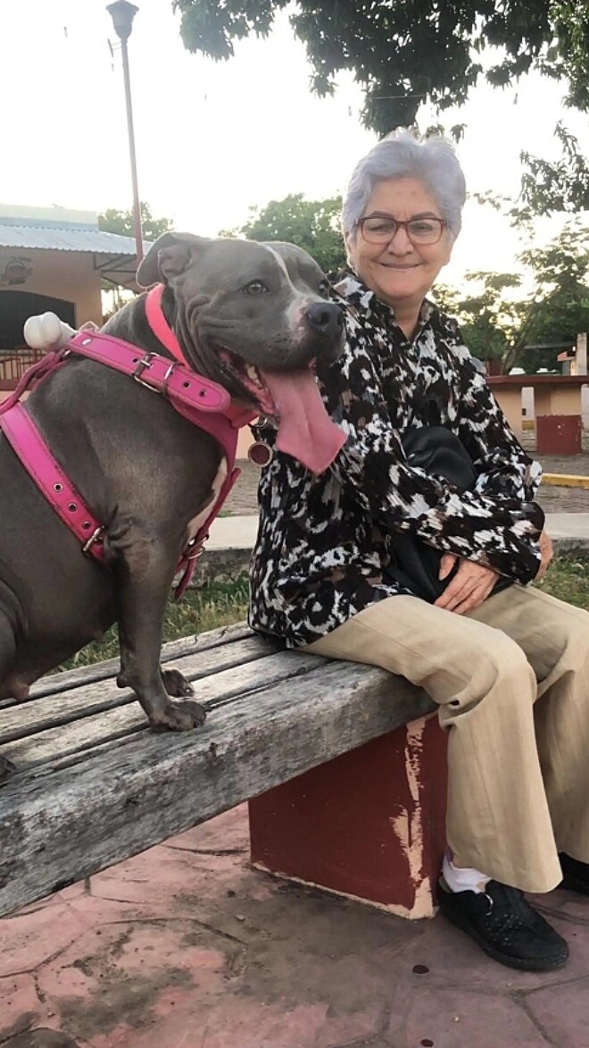 Greka é uma pitbull que vive no México e se tornou melhor amiga da sua avó. (Foto: DELVIA GONZÁLEZ)