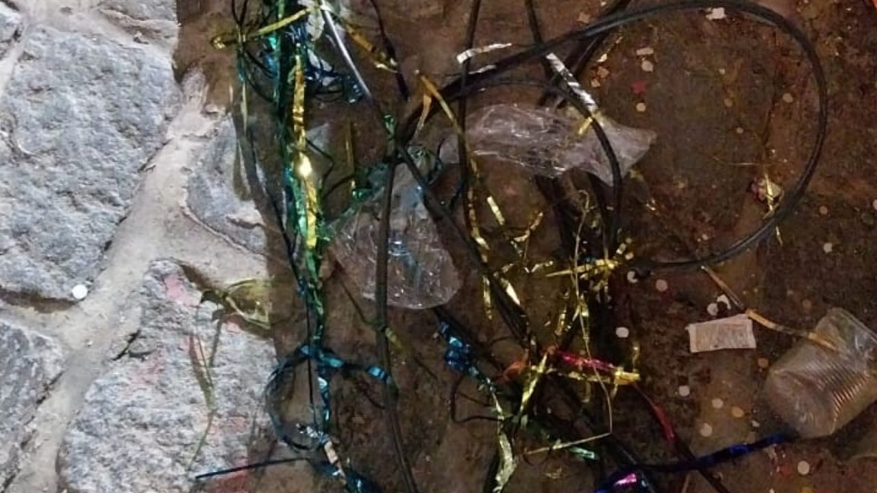 Serpentina retirada da rede elétrica
