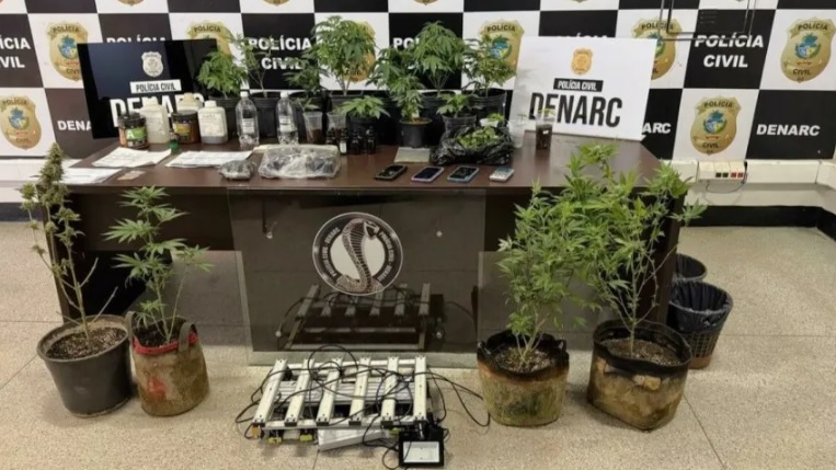 Divulgação l Polícia Civil de Goiás 