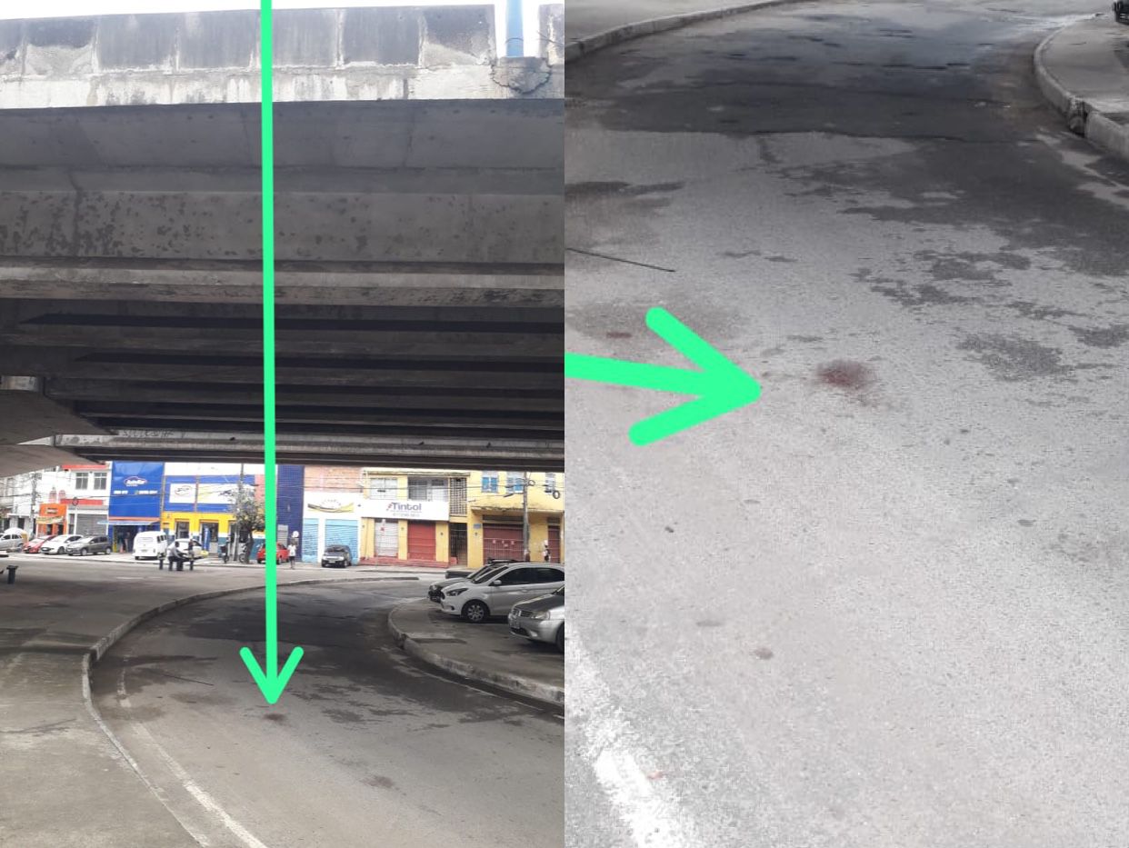 VÍDEO: Cadela é arremessada de viaduto em bairro de Salvador e moradores denunciam recorrência de caso