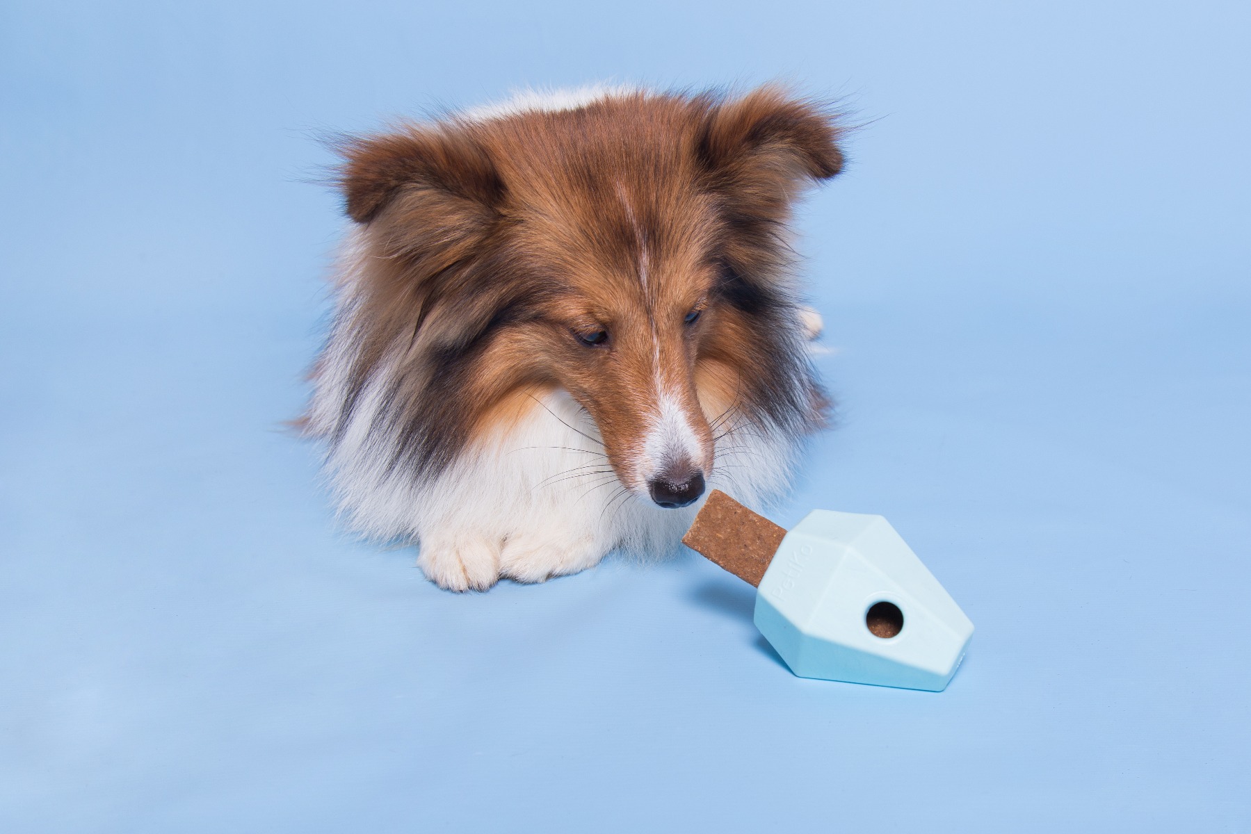 Diamante para cachorro