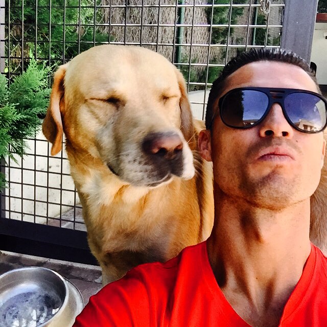 Conheça pets de alguns dos jogadores 