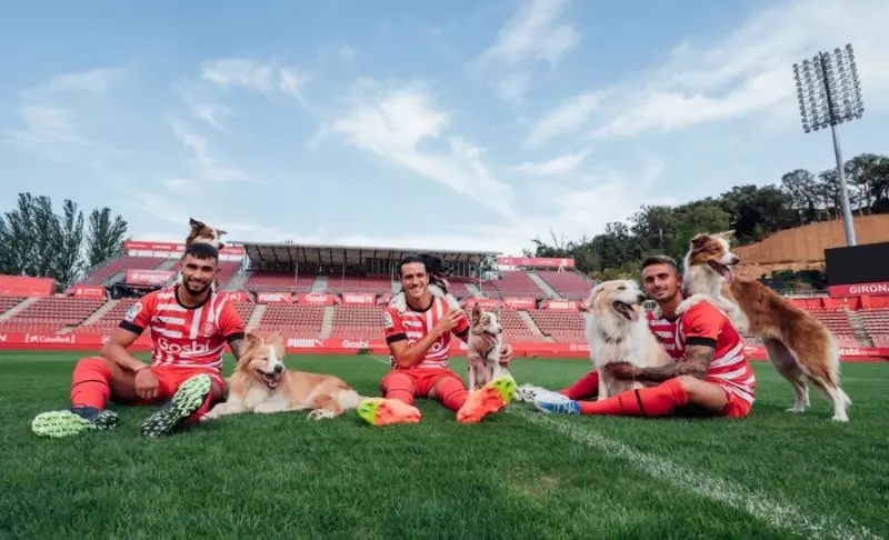 Time de futebol se torna primeiro clube pet friendly do mundo