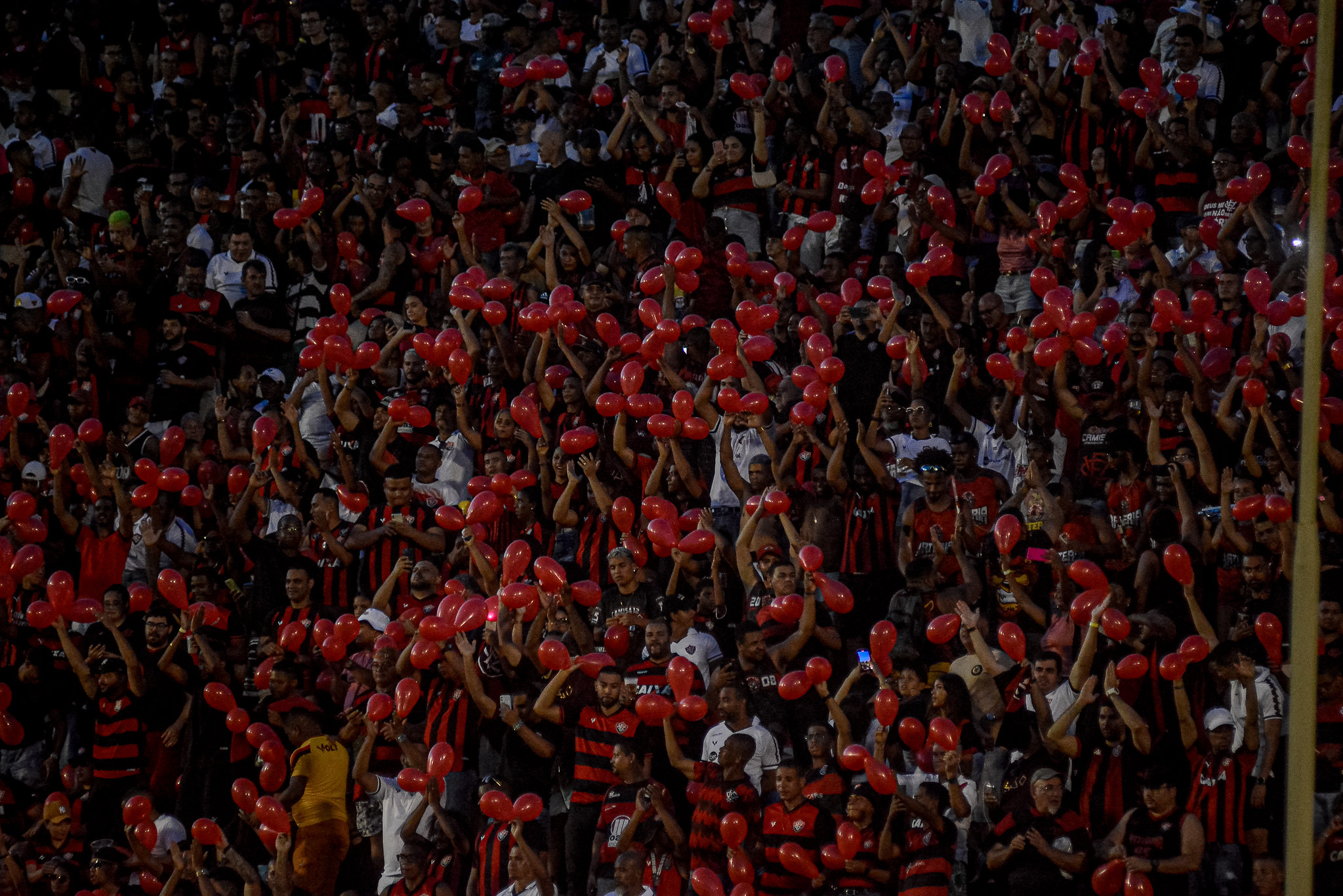 Torcedor joga sal grosso no Barradão para espantar má fase do Vitória como  mandante – LF News