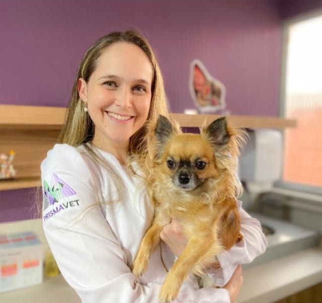 Pote de plástico prejudica meu gato? Entenda se recipiente pode gerar acne no pet