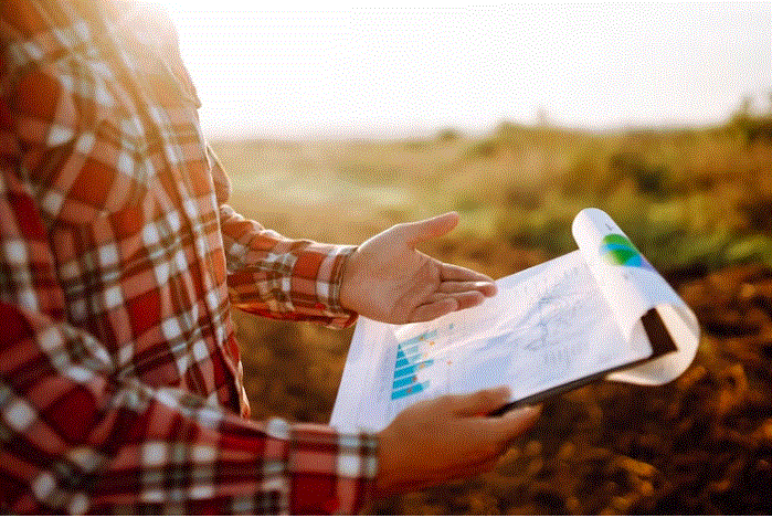 Divulgação | Freepik