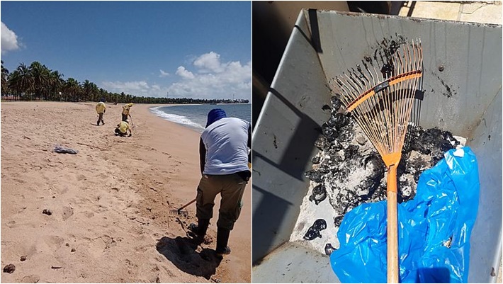 manchas óleo pernambuco