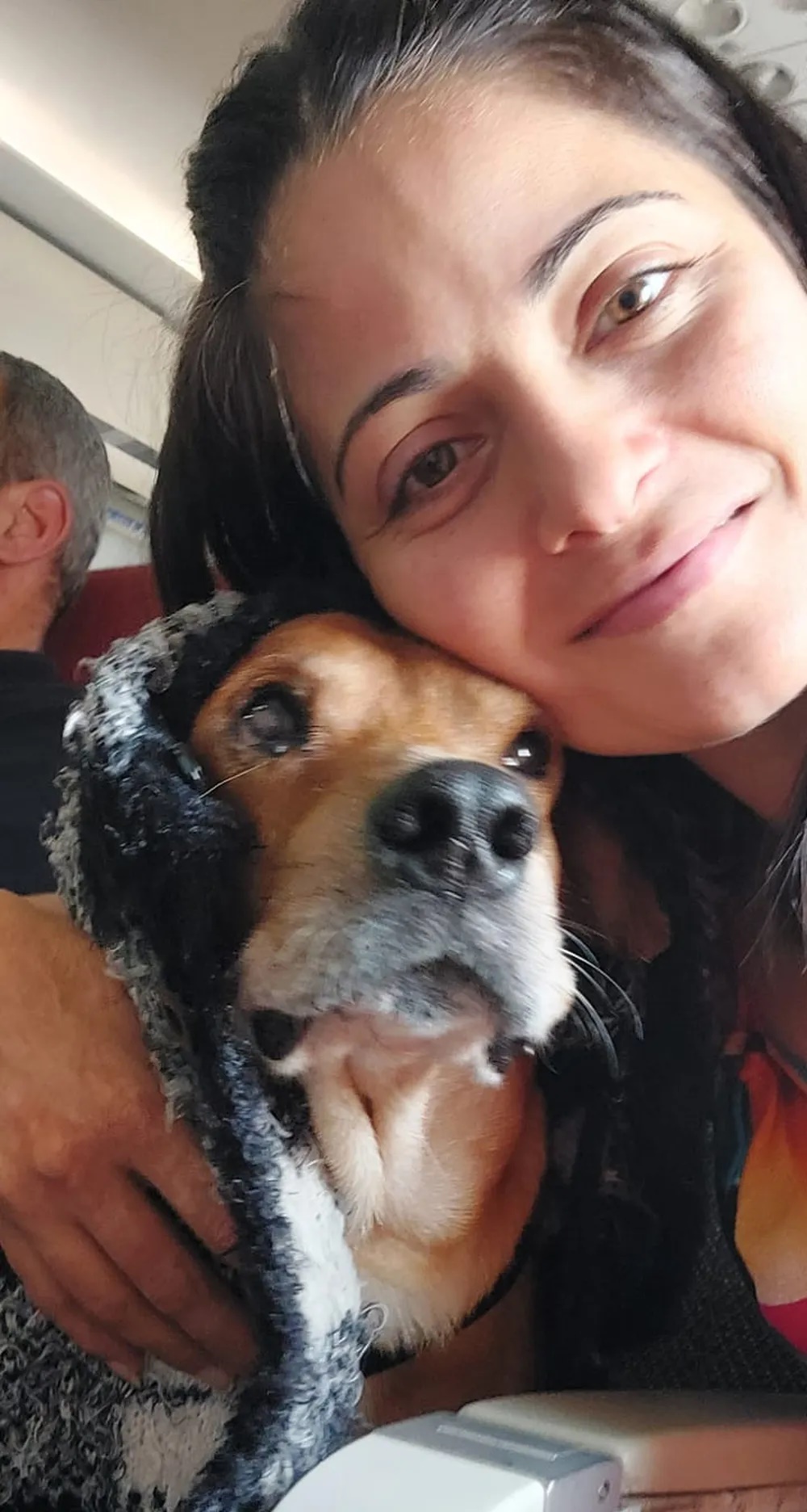 Cachorro que fugiu em aeroporto ganha presente de companhia aérea; saiba detalhes