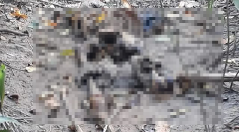 corpo de jovem pataxó é encontrado na Bahia
