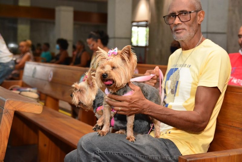 Dia de São Francisco: Idoso leva pet para missa e pede netos ao santo
