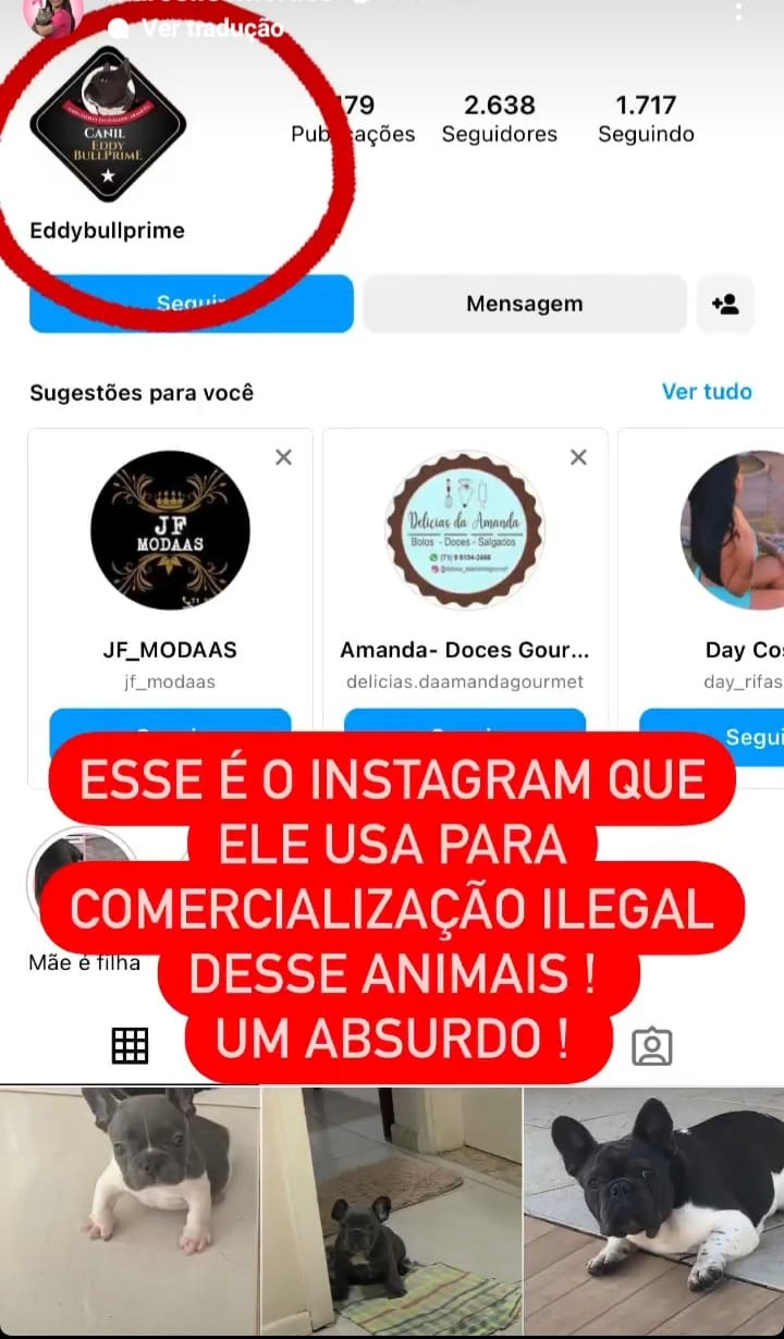Redes sociais @marcellecmoraes
