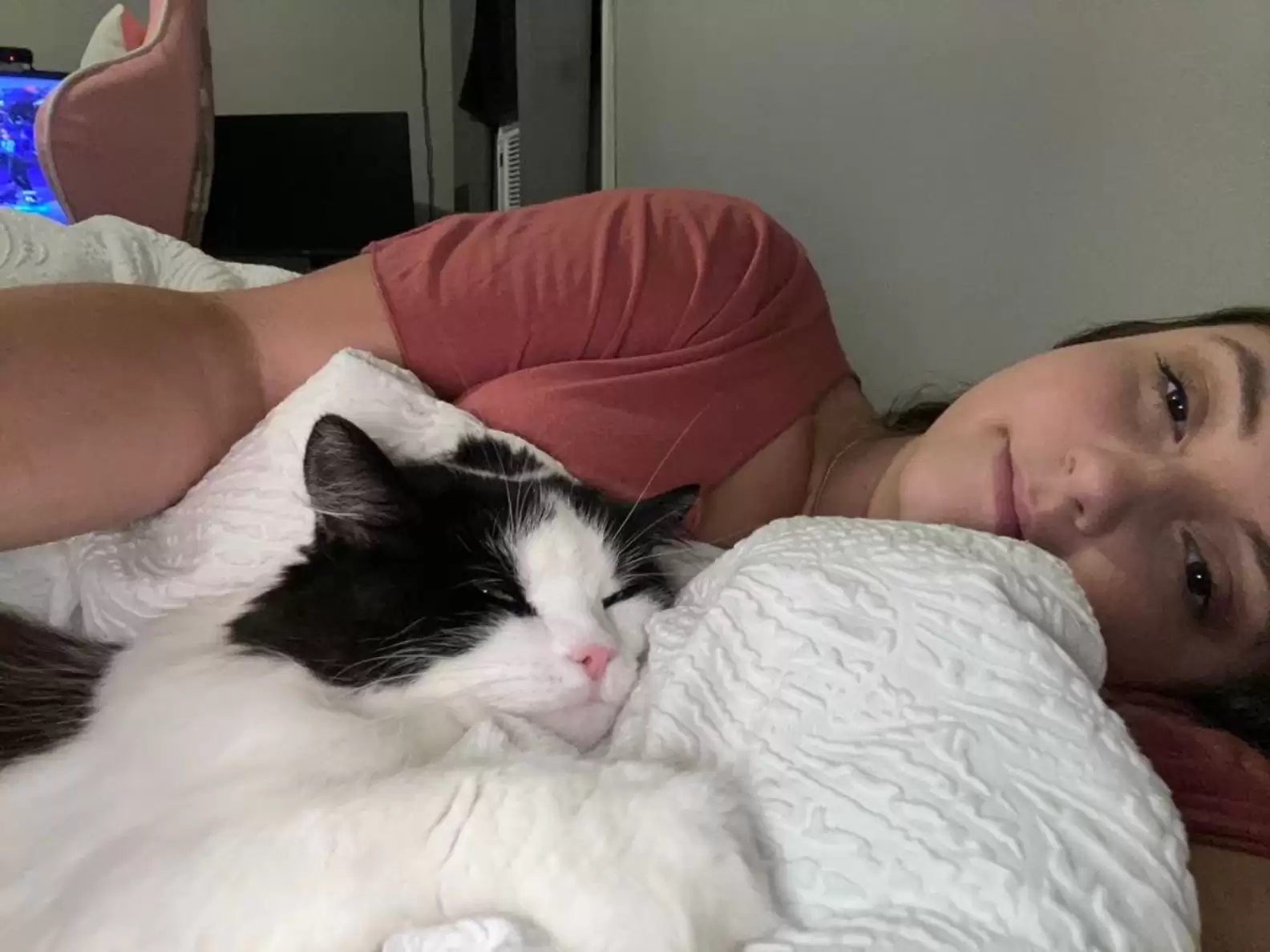 Mulher se desespera ao perder gata, mas descobre paradeiro inesperado de felina