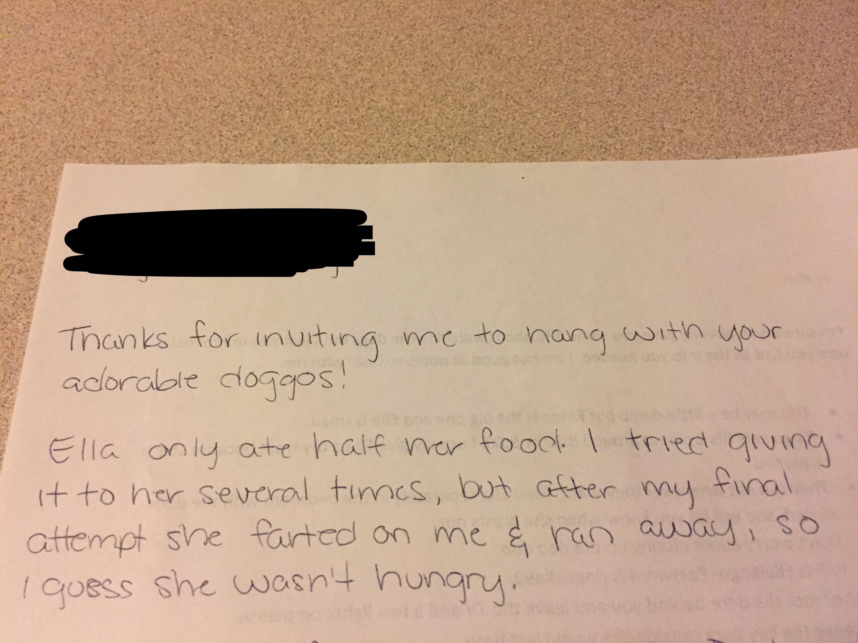 Tutor fica envergonhado após babá contar traquinagem de cadela; saiba qual