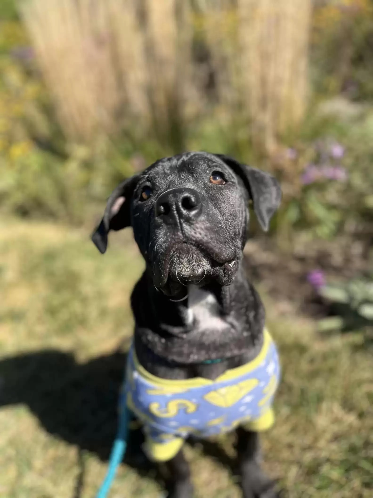 Visitante inesperado aparece em cemitério e intriga funcionários à noite