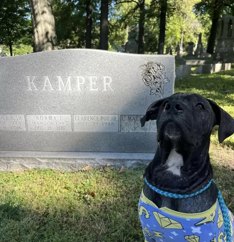 Visitante inesperado aparece em cemitério e intriga funcionários à noite; veja história