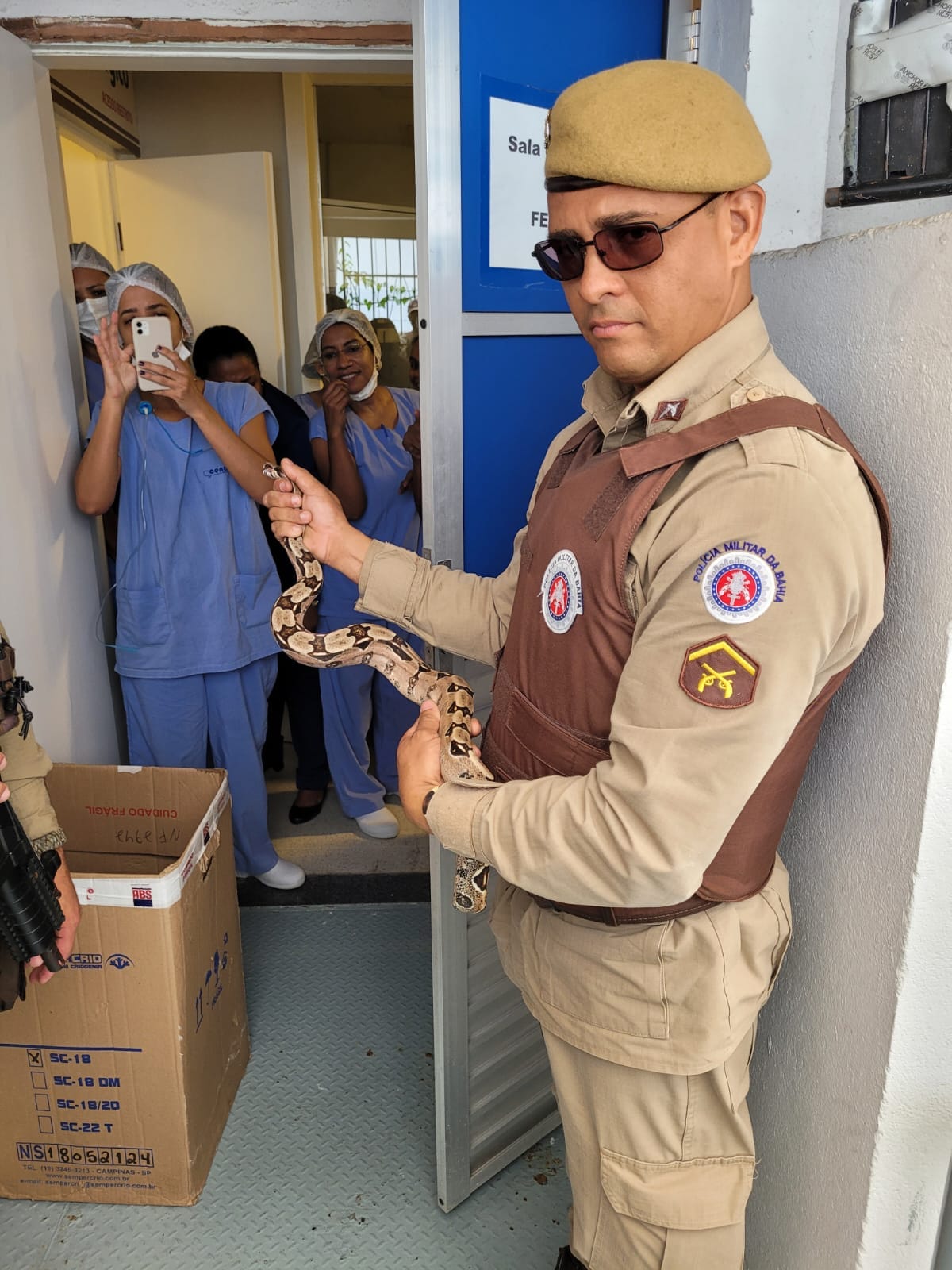cobra