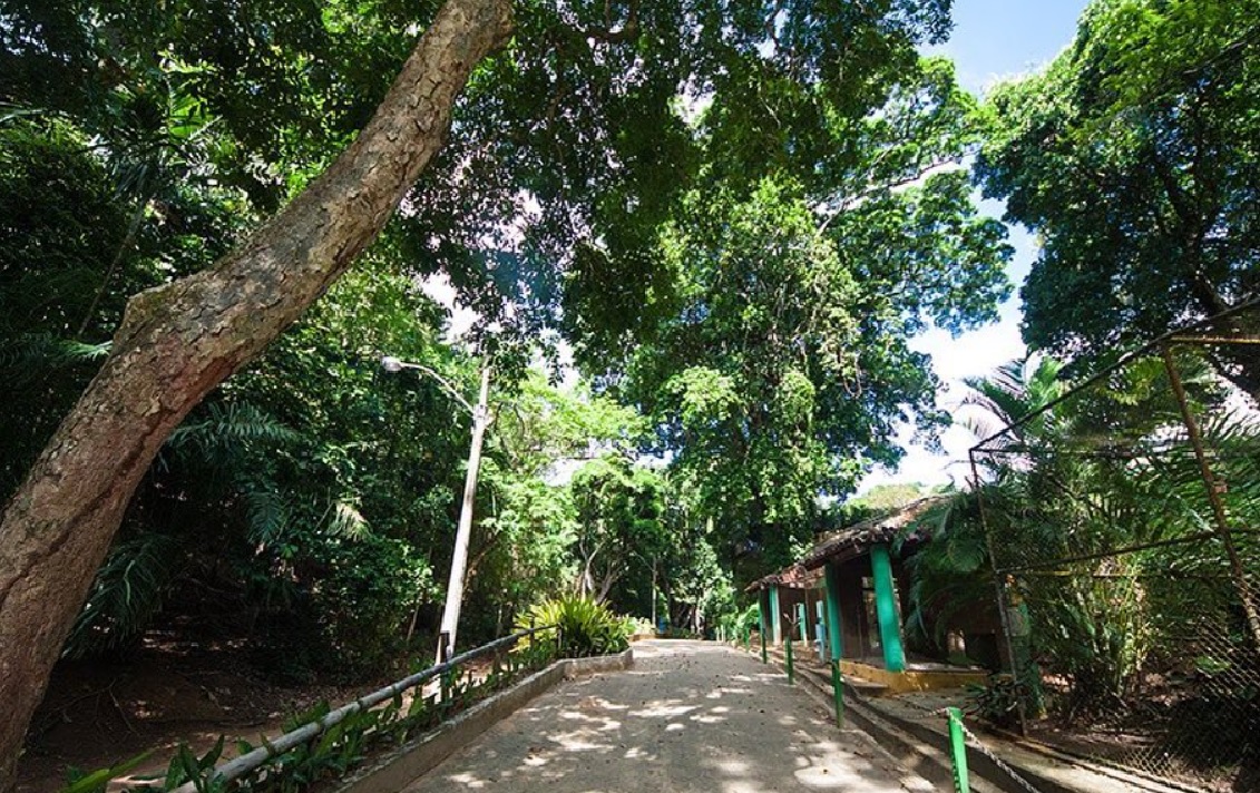 Reprodução Instagram/ @zoosalvador