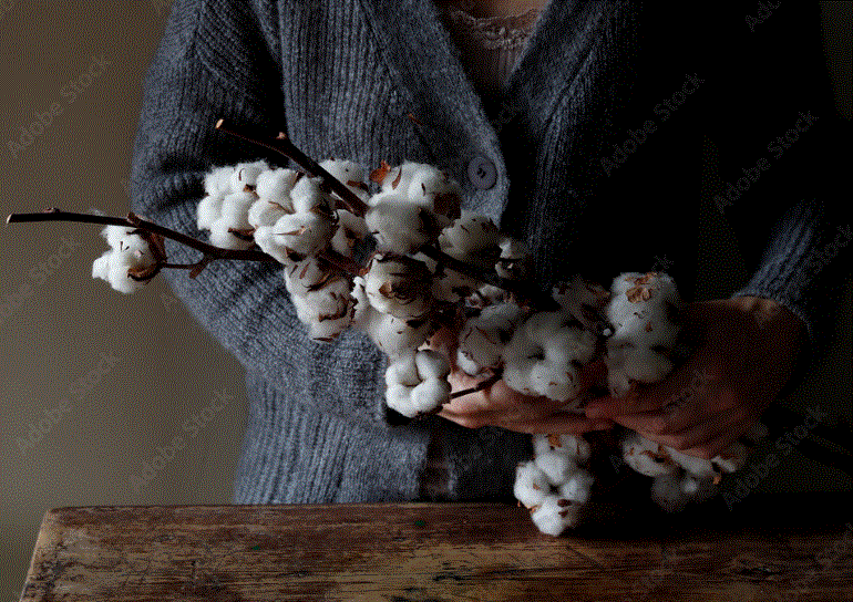 Divulgação | Freepik