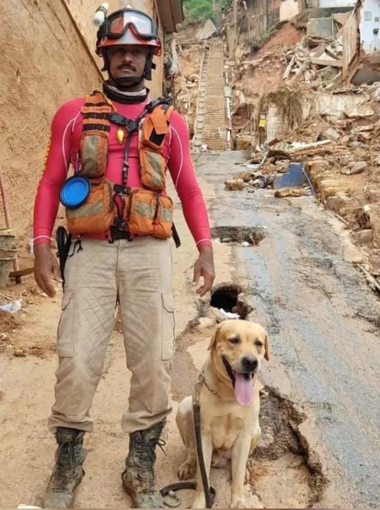 Cachorro morre ao atuar em resgate no Rio Grande no Sul: 'Era como um filho'; veja relato