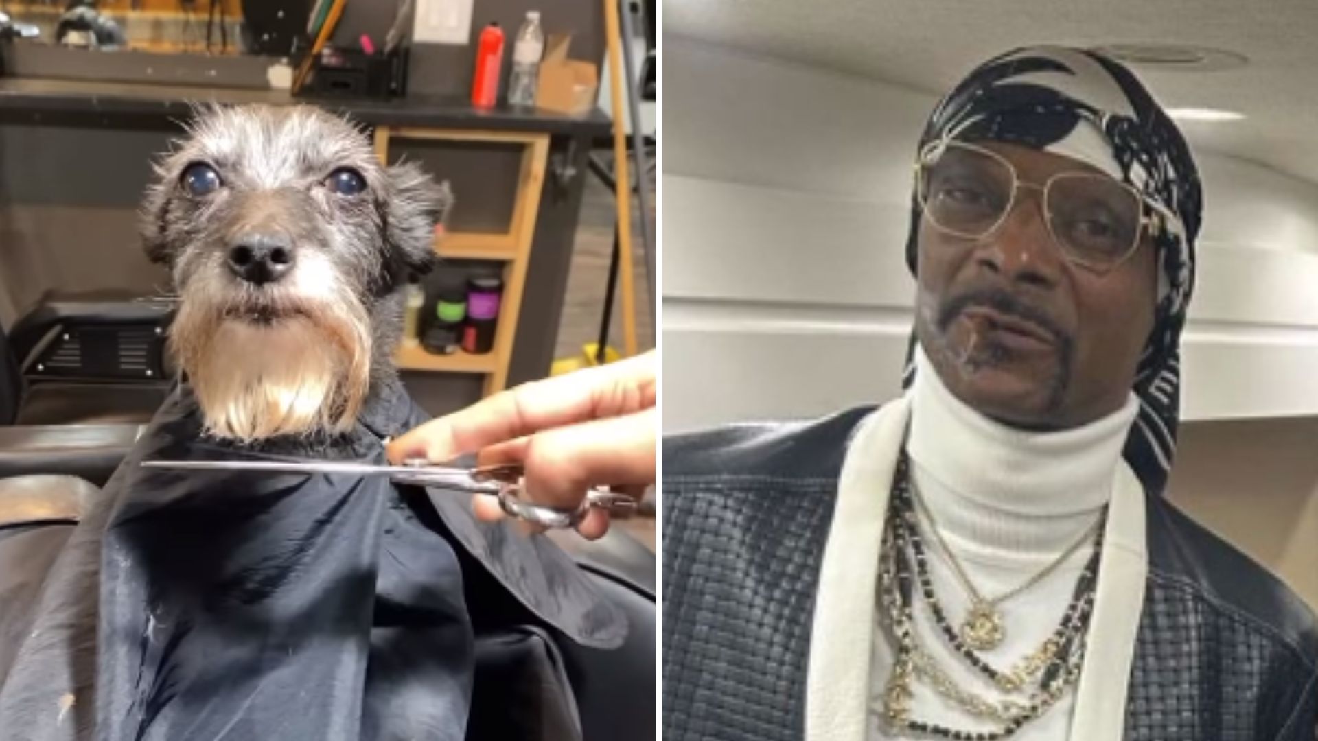 Reprodução / Instagram Snoop Dogg