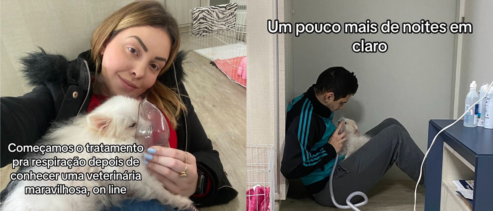 Cadela apresenta problema grave de saúde e tutora a devolve para canil 