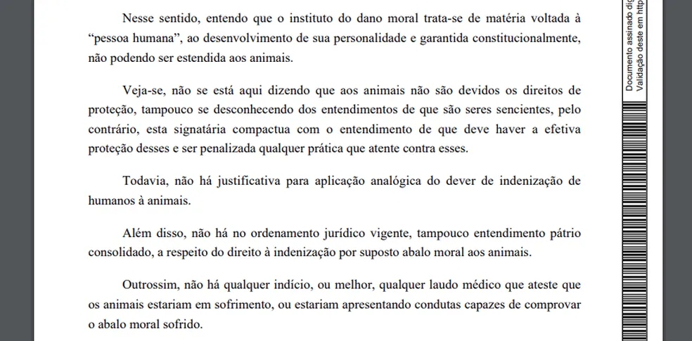 Cães conseguem feito histórico no judiciário brasileiro após processarem ex-tutor 