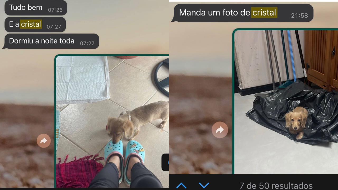 Pai apaixonado por pet ignora desabafo de filha e faz pergunta inesperada; assista 