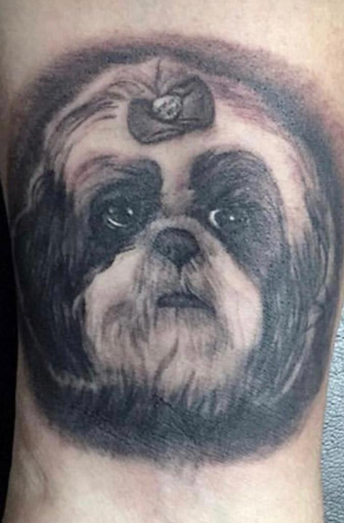 Isso é real? Jeito de cadela ao tomar remédio surpreende 