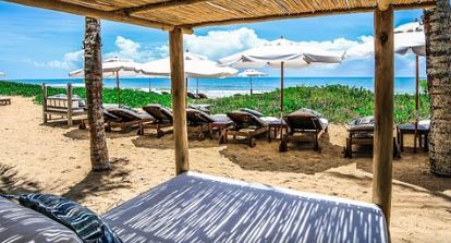 Reprodução/ TripAdvisor