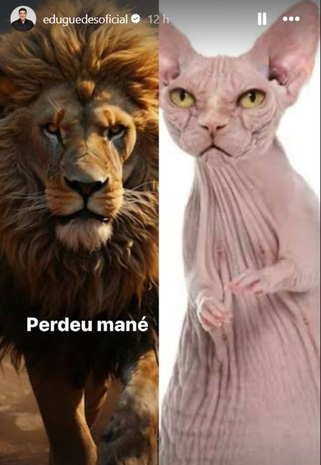 Reprodução: Instagram