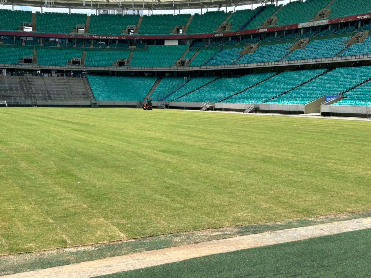 gramado arena fonte nova