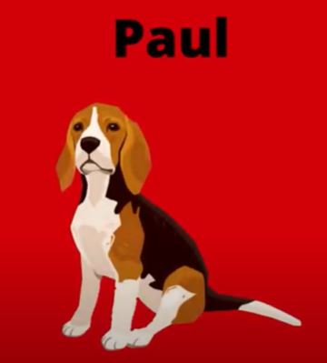 Paul
