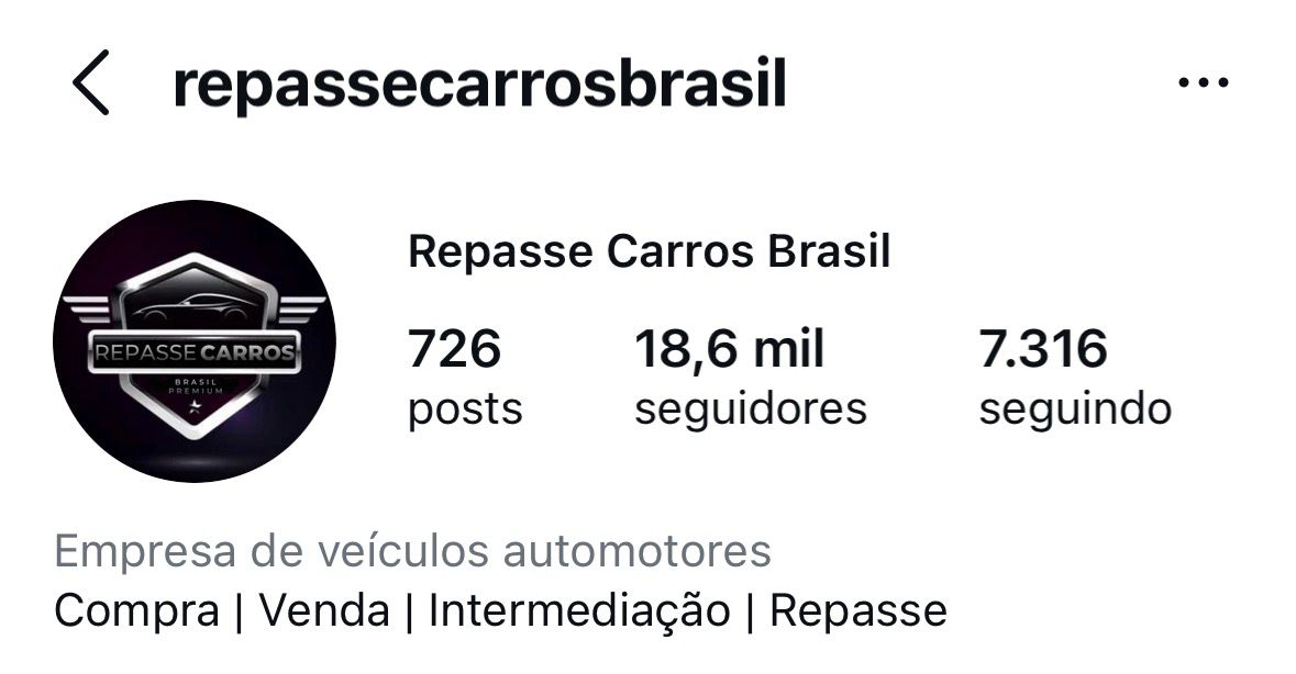 Perfil Repasse Carros Brasil