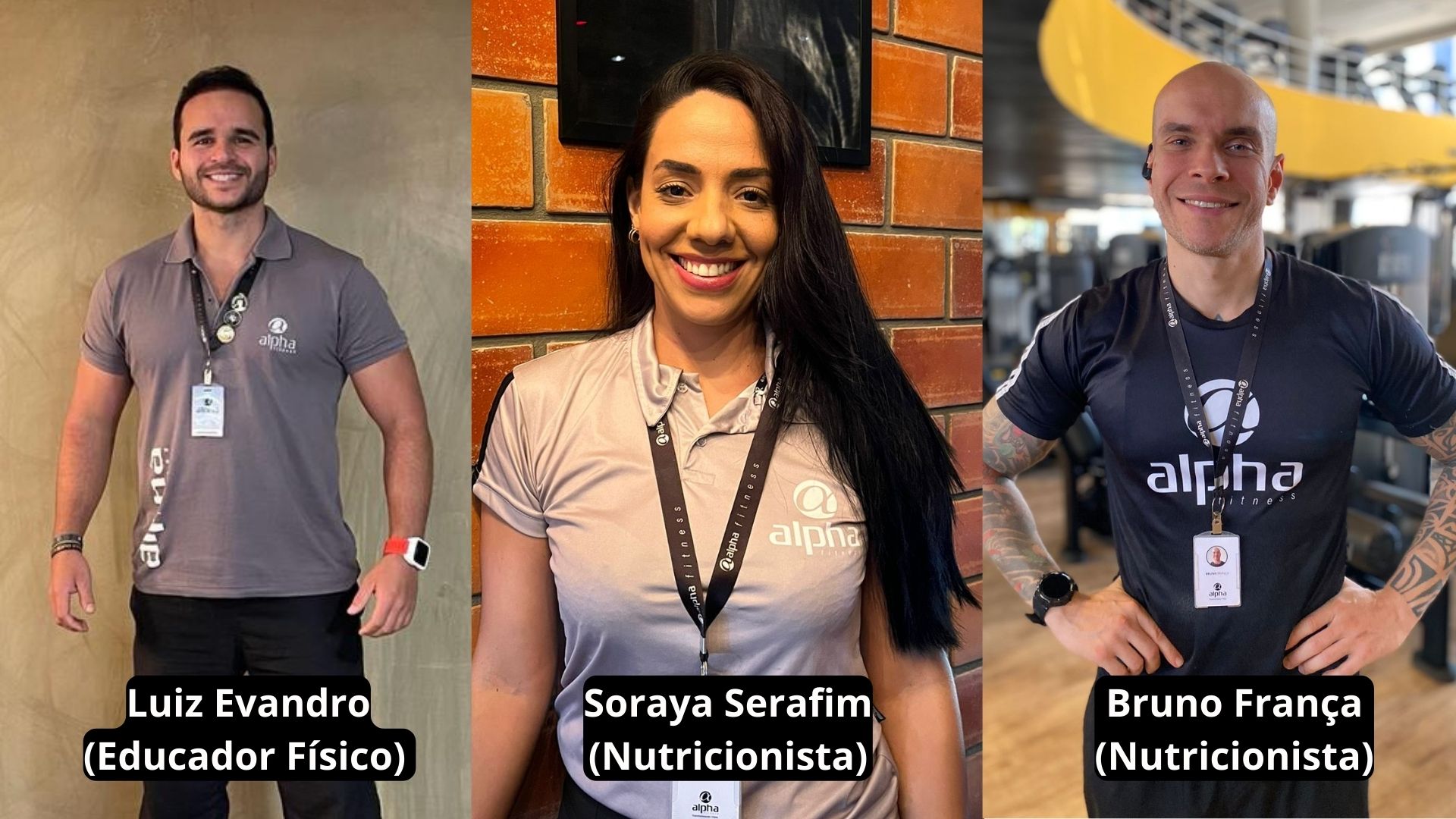 profissionais da alpha