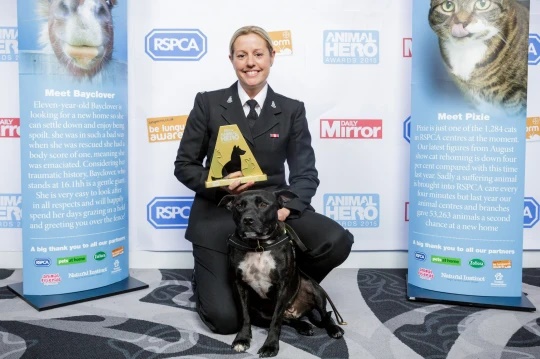 Primeiro cão policial se aposenta e recebe elogios; confira declaração