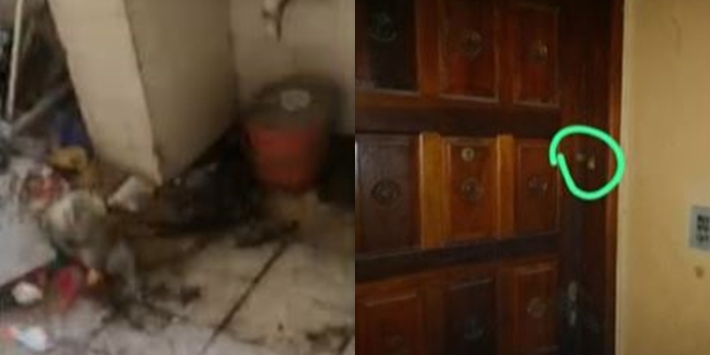 crianças resgatadas salvador 